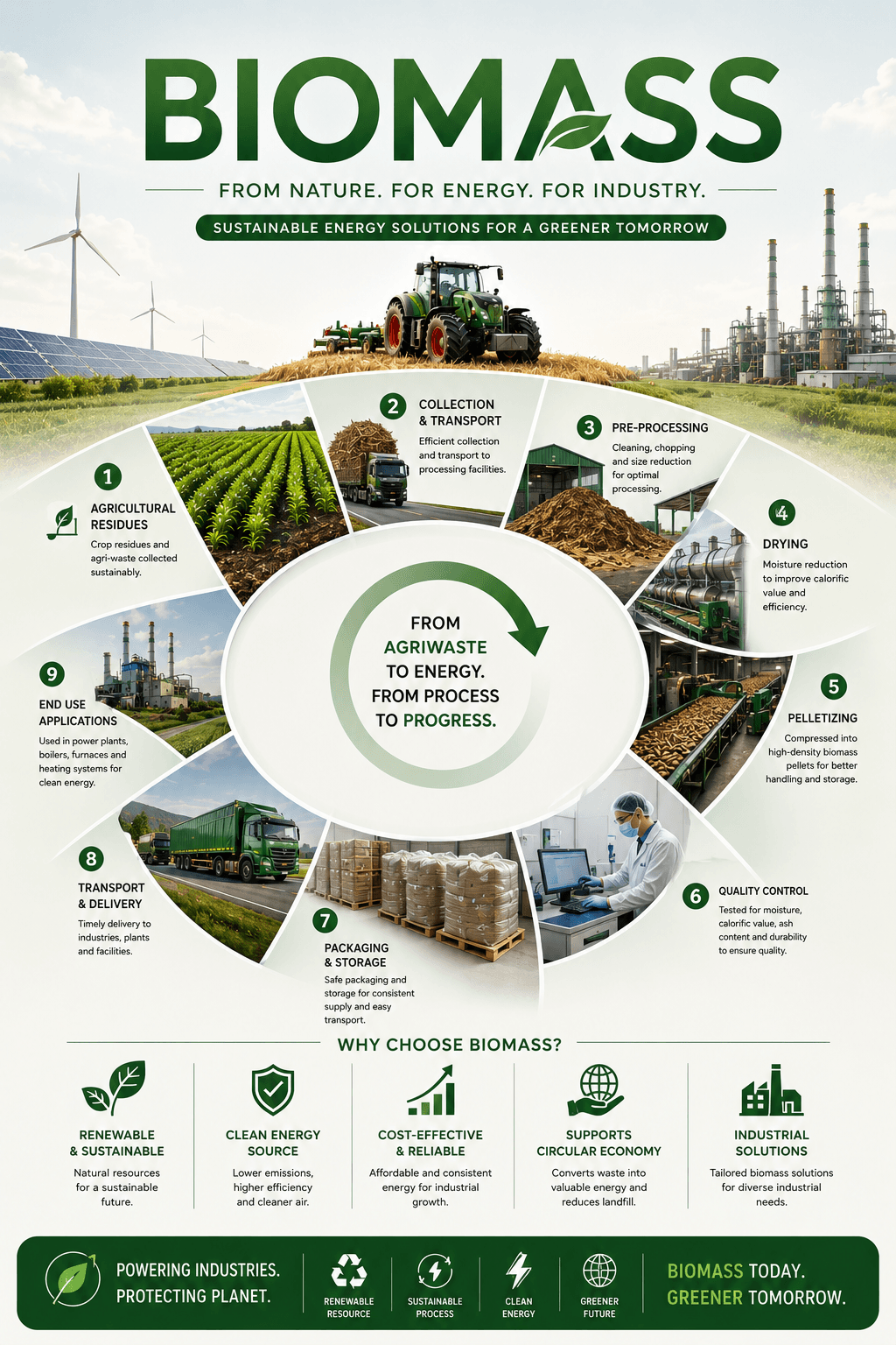 Biomass Process